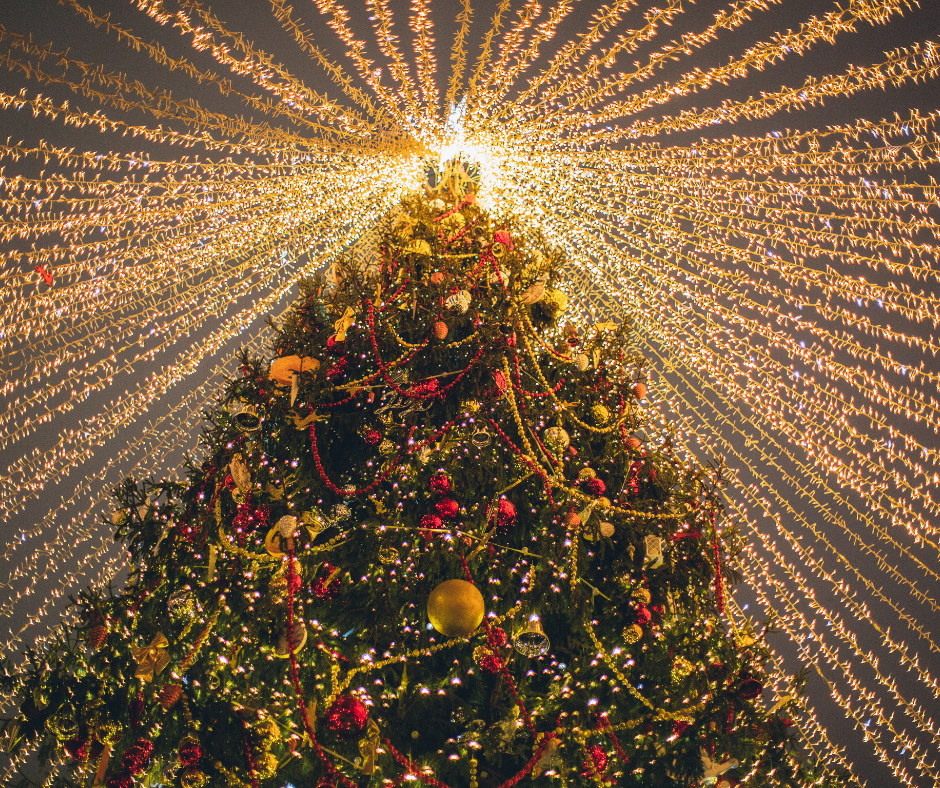 A large outdoor Christmas tree lit up with strings of lights