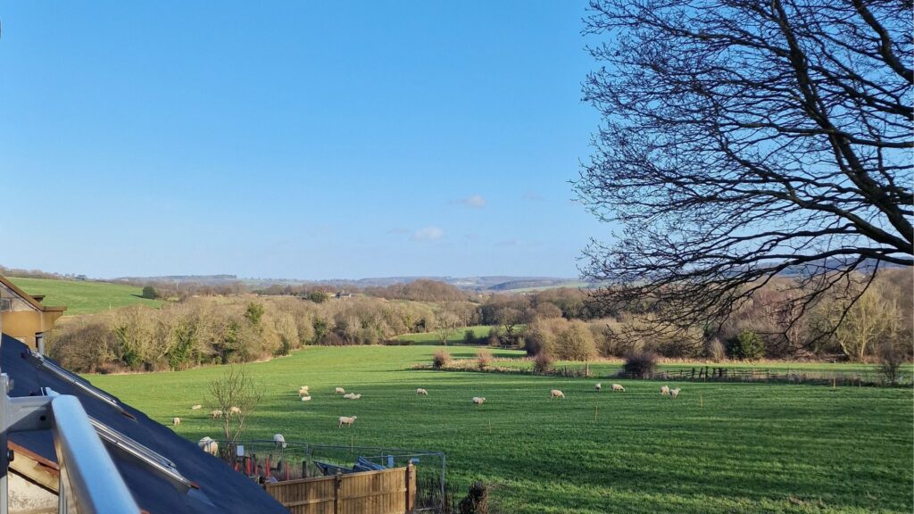 A view over fields and grazing sheep towards wooded hills