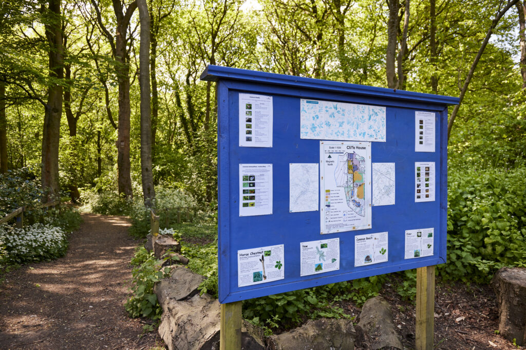 A woodland information board beside a shaded footpath